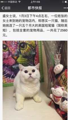 一紙協(xié)議與一段生命 寵物棄養(yǎng)背后的責(zé)任缺失與消費反思