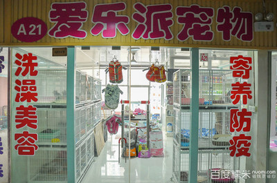 愛樂派寵物生活館 專業(yè)貓洗澡體驗(yàn)與糯米寵物用品銷售指南